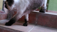 ad_1109.jpg