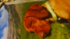 ad_1612.jpg