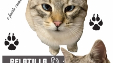 ad_1704.jpg