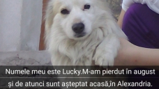 ad_1737.jpg
