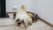 ad_1788.jpg