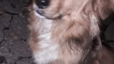 ad_2102.jpg