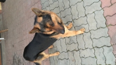 ad_2155.jpg