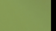 ad_2392.jpg