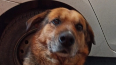 ad_2484.jpg