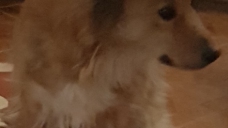 ad_2545.jpg