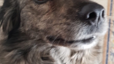 ad_2593.jpg
