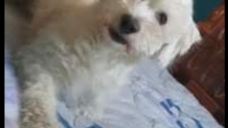ad_2615.jpg