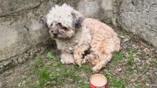 ad_3049.jpg
