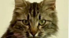 ad_3073.jpg