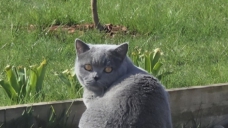 ad_3225.jpg