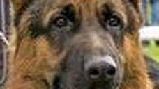ad_450_2.jpg