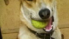 ad_767.jpg