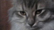 ad_770.jpg