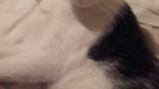 ad_782.jpg
