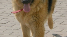 ad_917.jpg