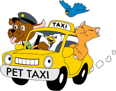Pet taxy