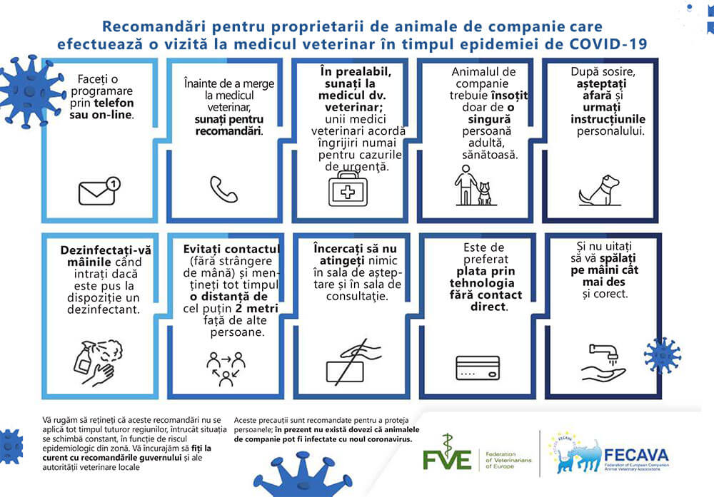 Recomandări pentru proprietarii de animale de companie care efectuează o vizită la medicul veterinar în timpul epidemiei de COVID-19